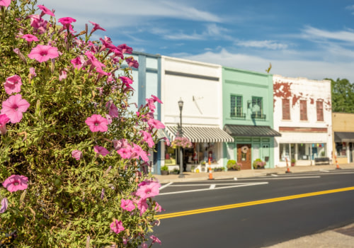 The Vital Role of Small Businesses in Fort Mill's Economic Development